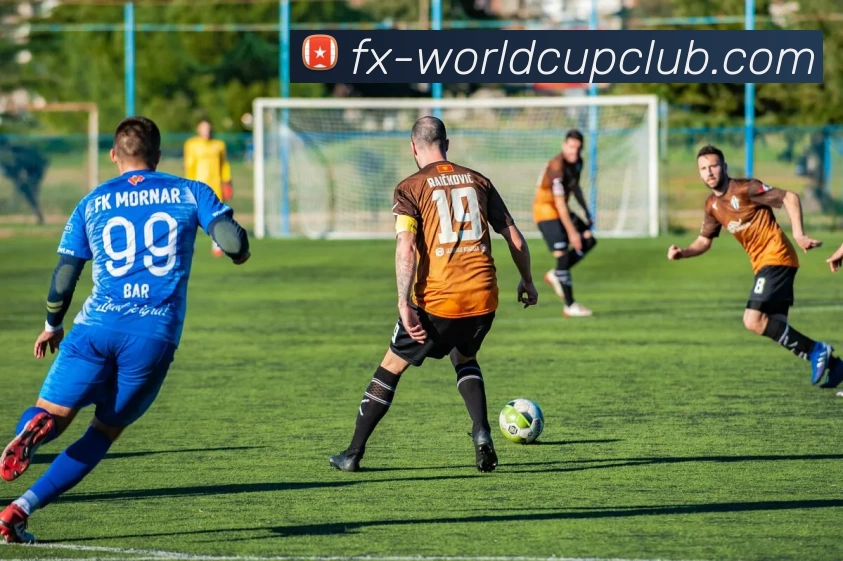 世界杯官网发展历程